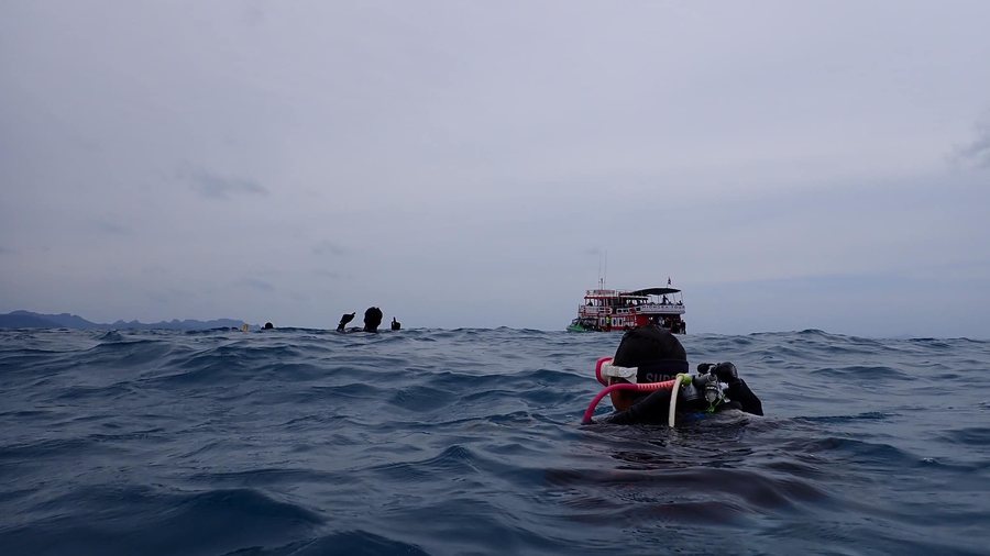 Cleanup dive group gathered after ocean-care activity