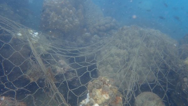 Super Dive Thailand underwater cleanup diver collecting debris carefully