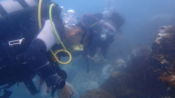 Cleanup dive team working together during conservation activity