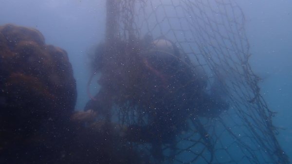 Cleanup team and divers gathered around ocean-care activity