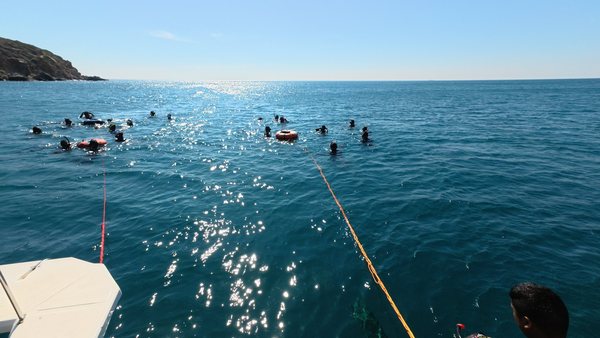 Open-water training group beside a boat during water operations