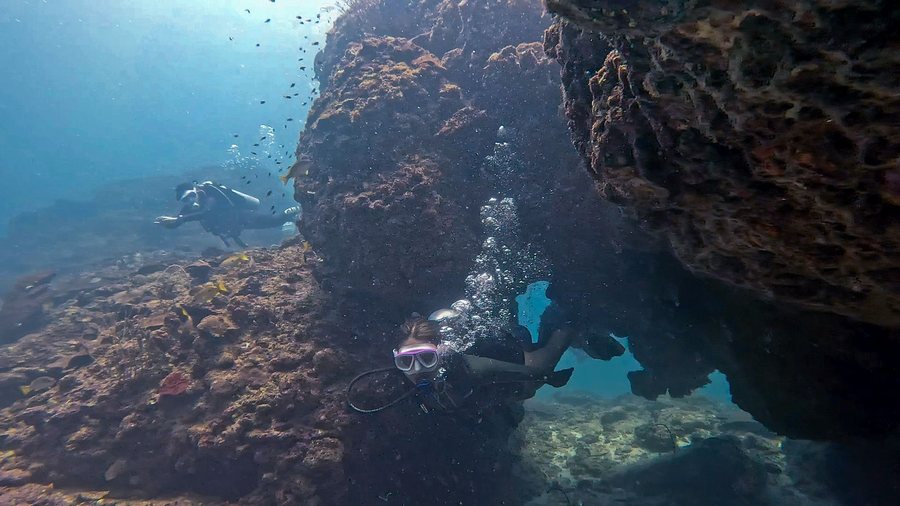 Divers exploring reef contours during a calm supervised dive