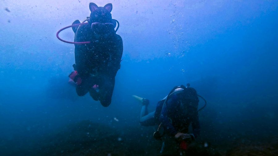 Two scuba divers swimming in blue water during a supervised beginner-friendly dive