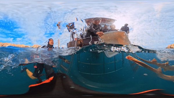 Split-level view of divers by a dive boat in clear water