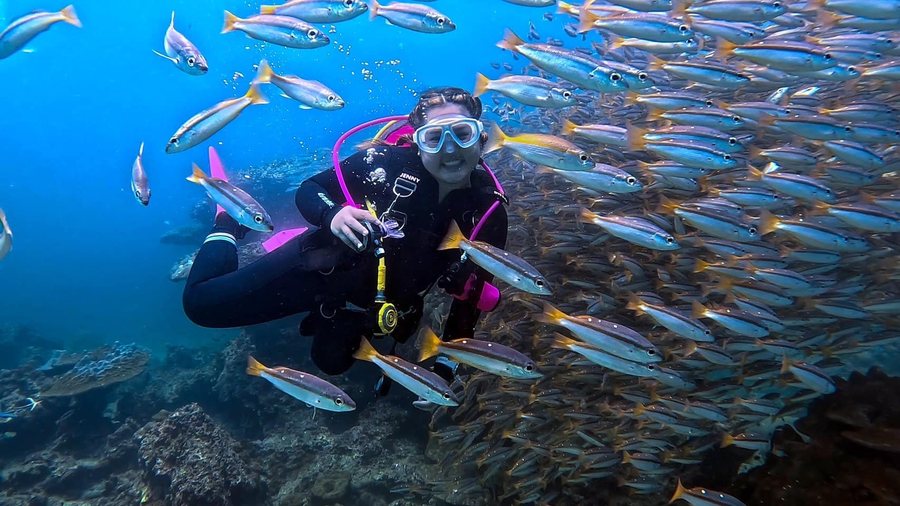 Scuba diver swimming beside schooling fish